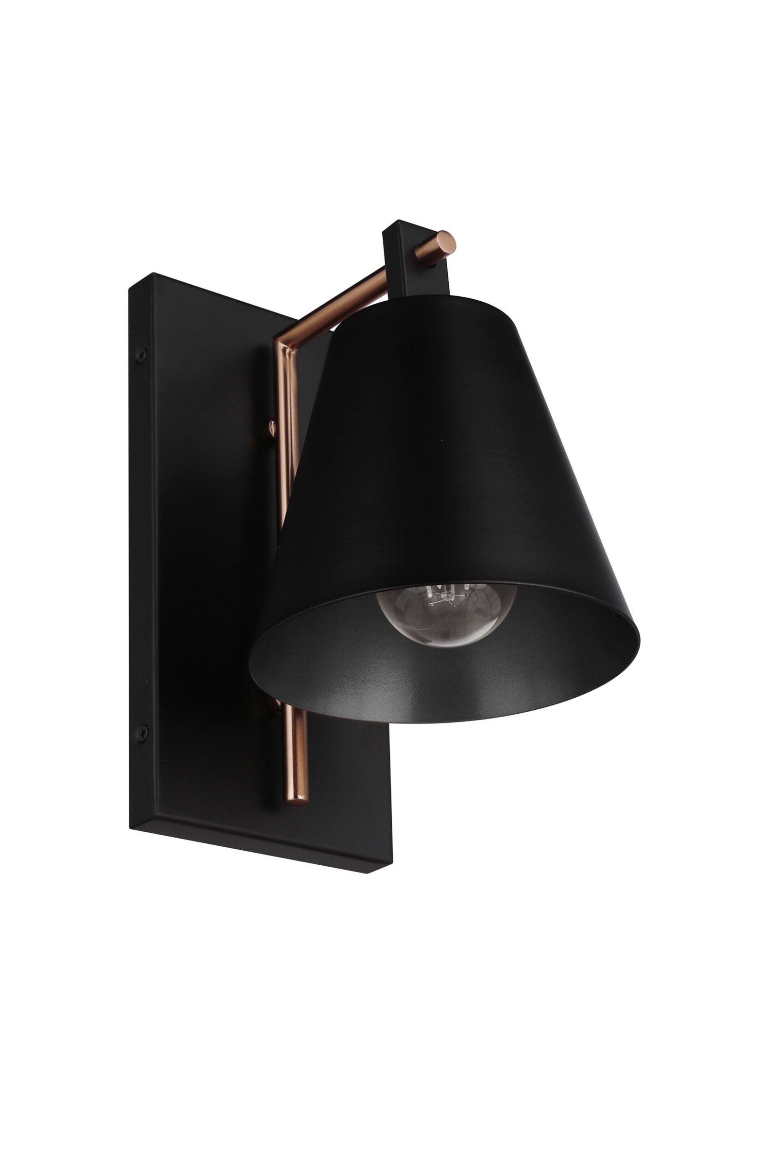 Onanì Black Metal Hood Brass Detail Wall Sconce