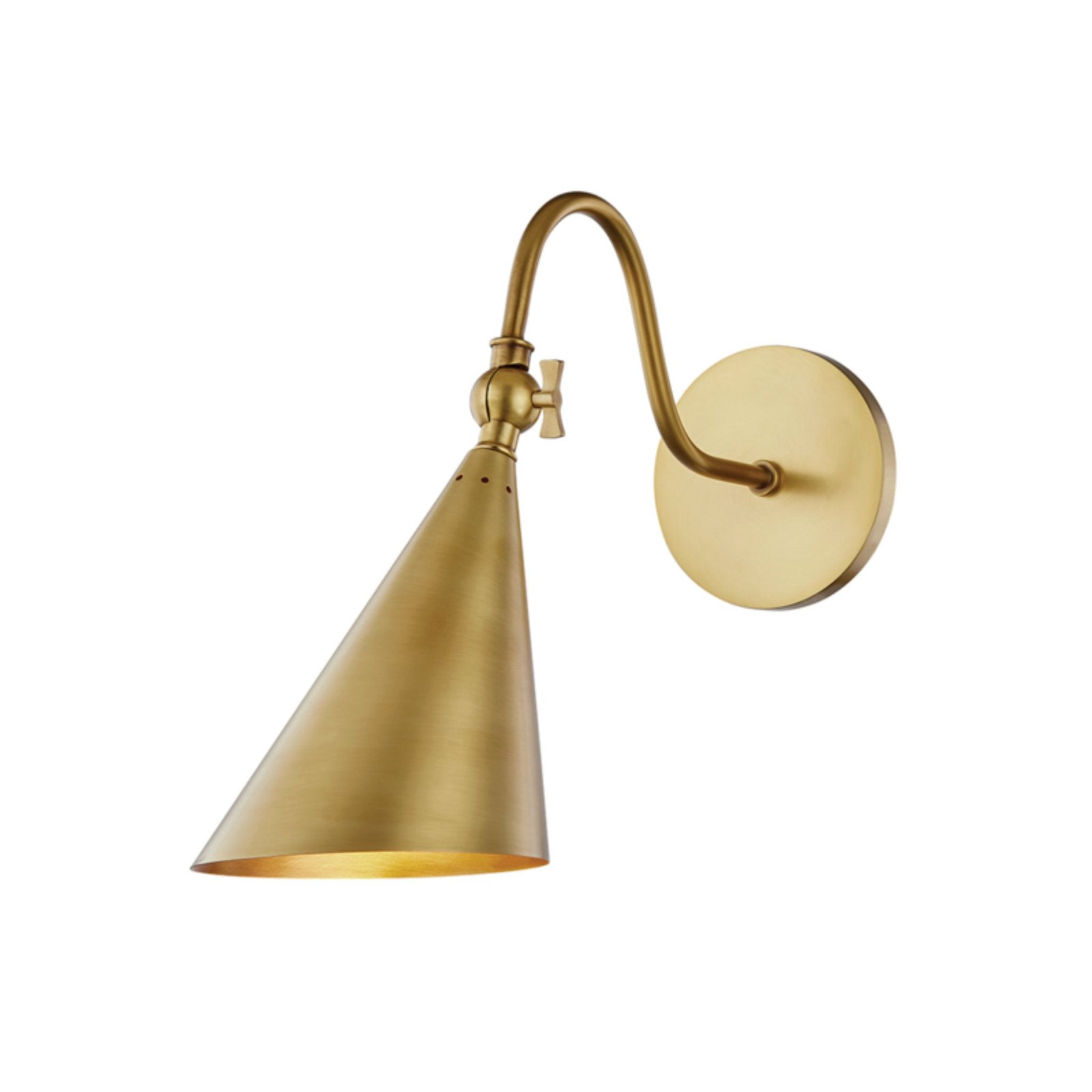Tuoro Swan Neck Conical Metal Hood Brass Wall Sconce