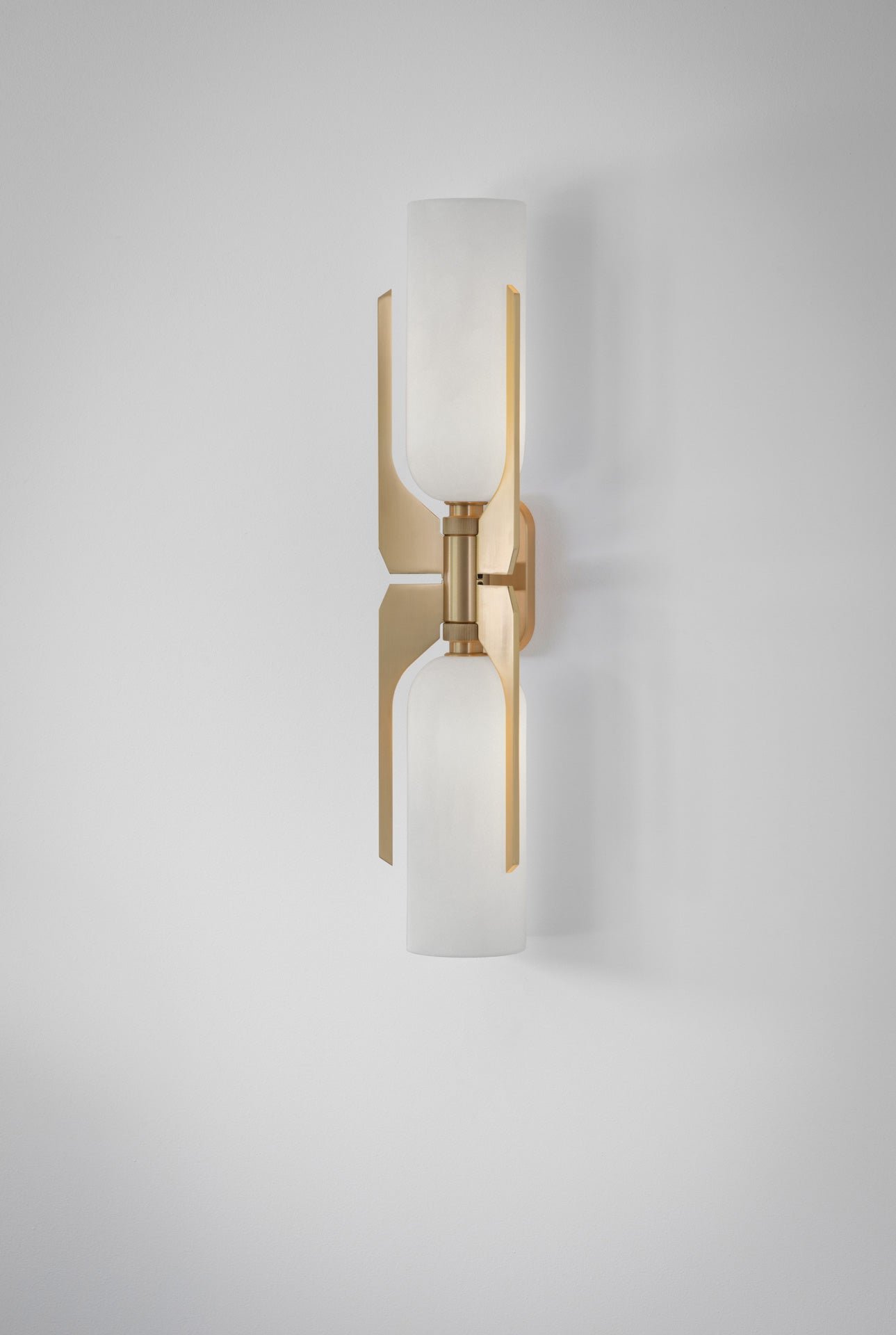 Sammichele Brass Wing Opal Glass Vertical Wall Sconce